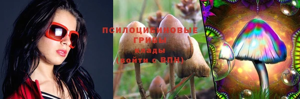 дмт Вязьма